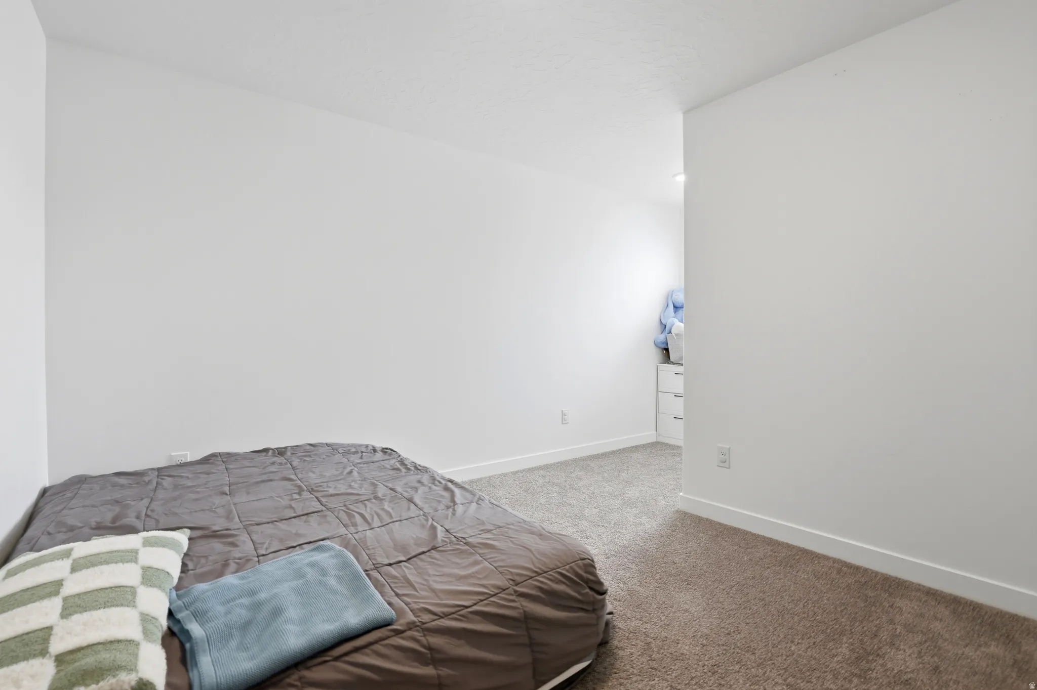 Carpeted room with white walls, white baseboards, and a textured ceiling