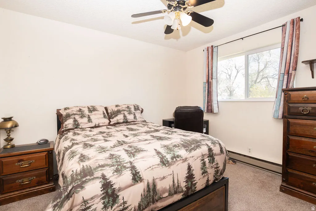 Windowed room with textured white walls and carpeted flooring