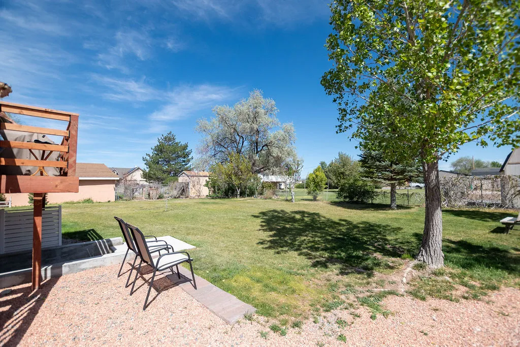 Expansive backyard featuring a large grass area, mature trees, a gravel patio, and a covered wood structure