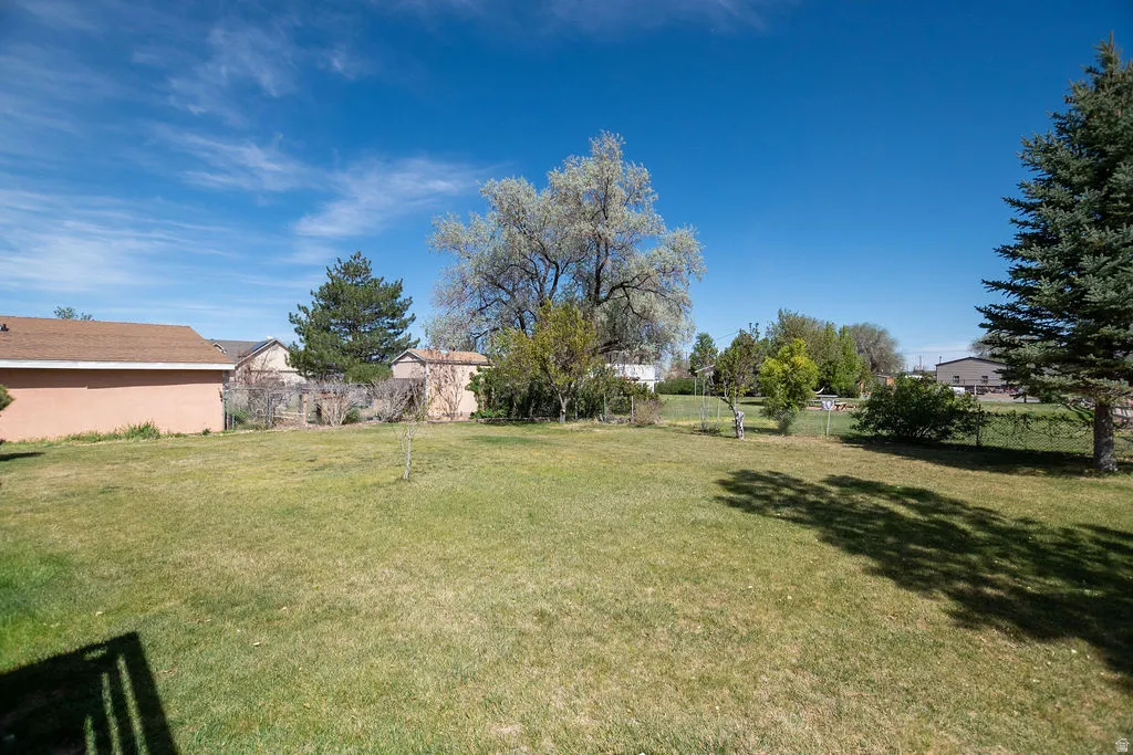 Expansive green lawn with mature trees and perimeter fencing