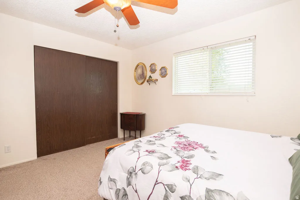 Bedroom featuring carpet flooring, a window with horizontal blinds, and a ceiling fan with light fixture