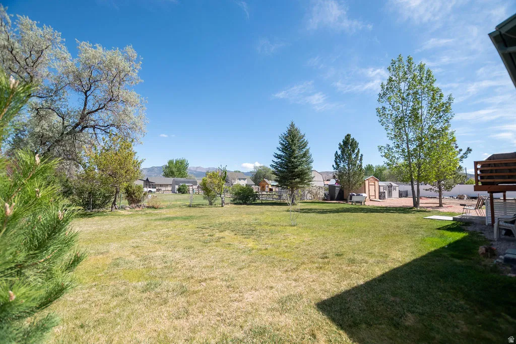 Expansive backyard featuring a large grass lawn, mature trees, a multi-level wooden deck, and a gravel area with multiple storage sheds