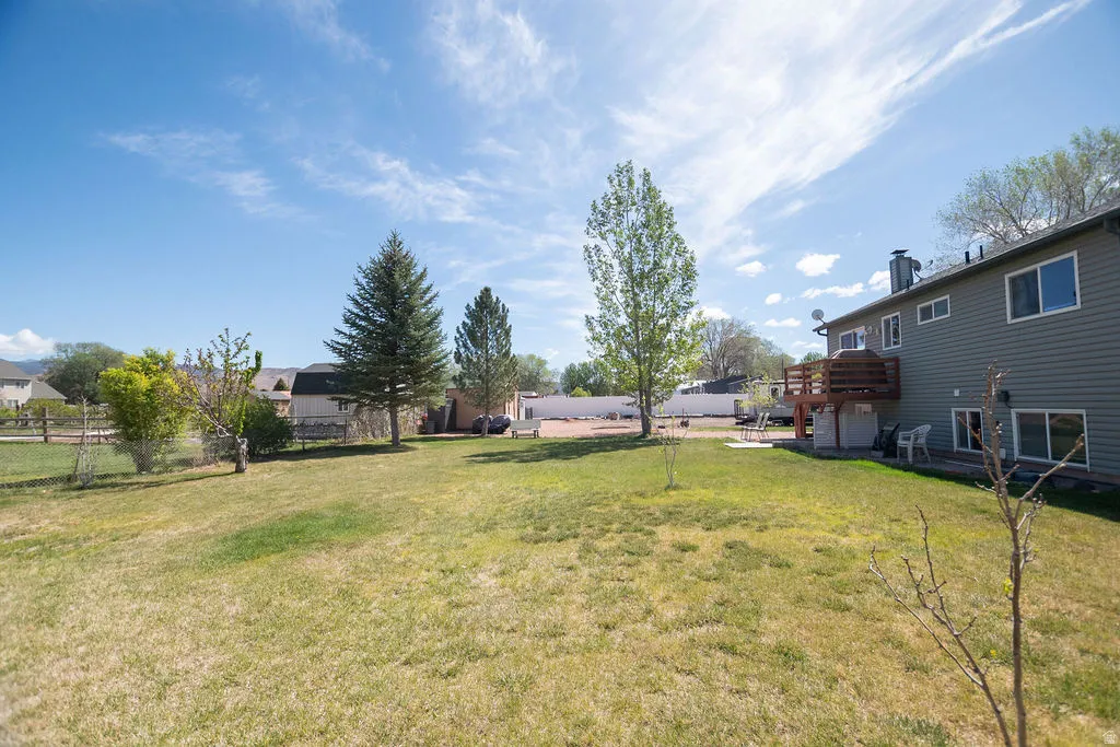 Expansive green space featuring mature trees, a wooden deck, a chain-link fence, and a neutral-toned siding exterior