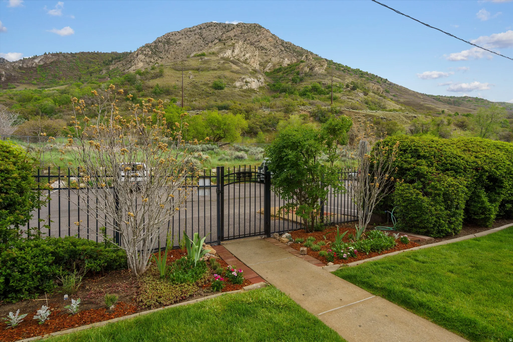 Black metal gate and fencing providing property access, framed by mature green shrubs