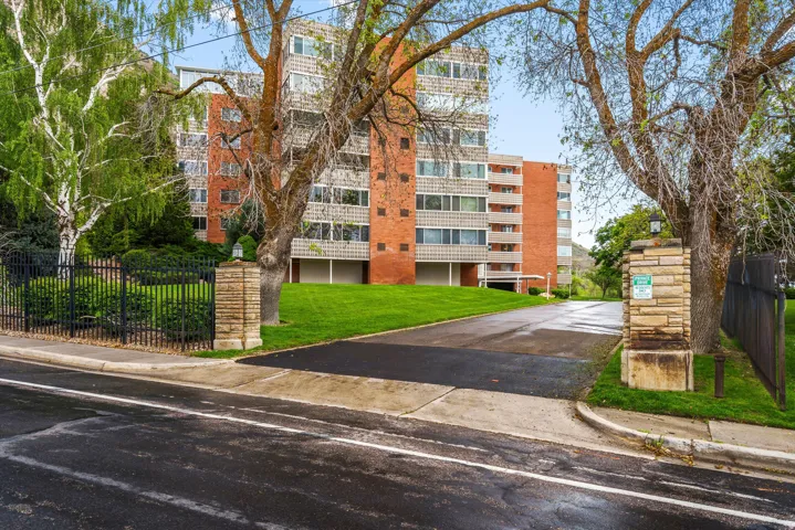 Entrance featuring stone column accents, black wrought iron fencing, a paved driveway, and established trees