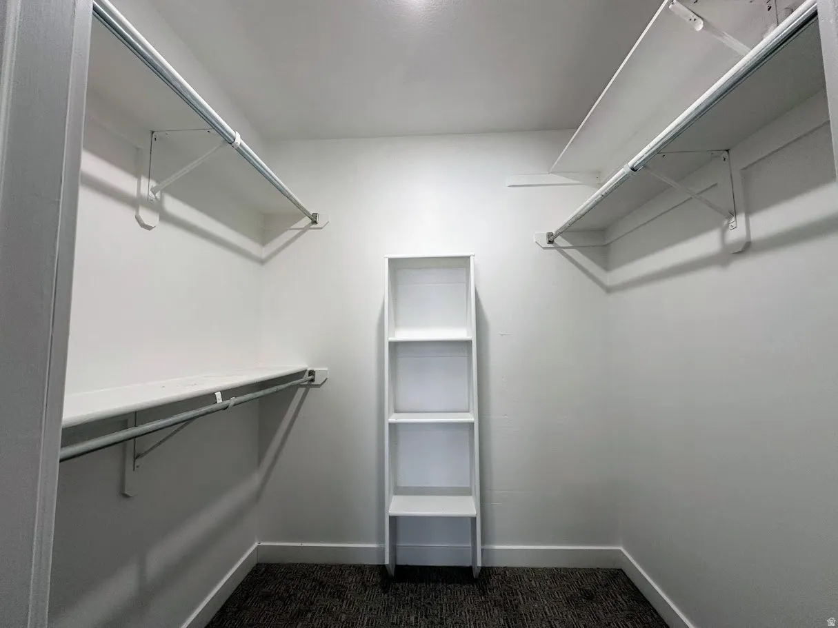 Walk-in closet featuring white painted walls, textured carpet flooring, and a built-in shelving unit