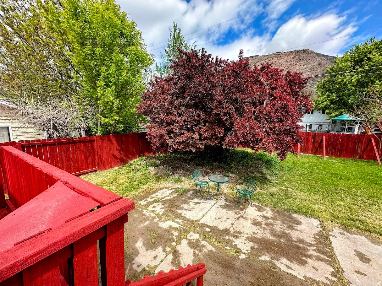 Expansive backyard featuring a vibrant red privacy fence, a mature red-leaf tree, and a concrete patio space