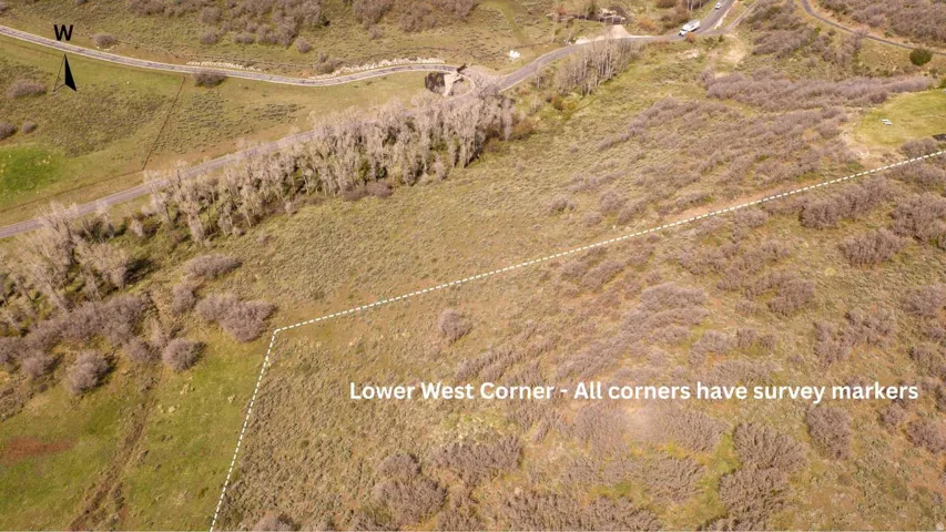 Expansive land parcel featuring natural shrubbery and mature trees, bordered by a paved road
