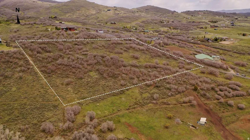 Expansive undeveloped land parcel with natural vegetation