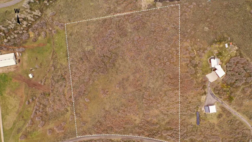 Expansive undeveloped lot featuring natural vegetation, bordered by a defined property line