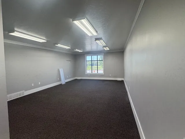 Spacious room featuring neutral grey walls and dark textured carpeting