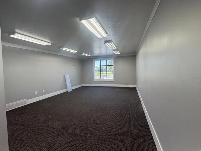 Spacious room with grey walls, dark brown carpet, and multiple fluorescent lighting fixtures