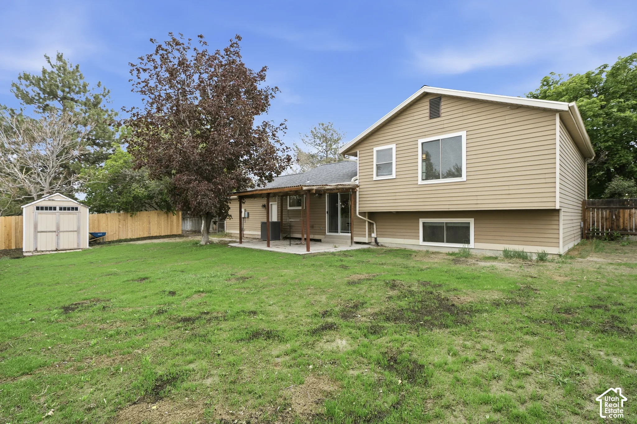 Expansive green lawn with a wooden privacy fence, a detached shed, a mature tree, and a covered patio area