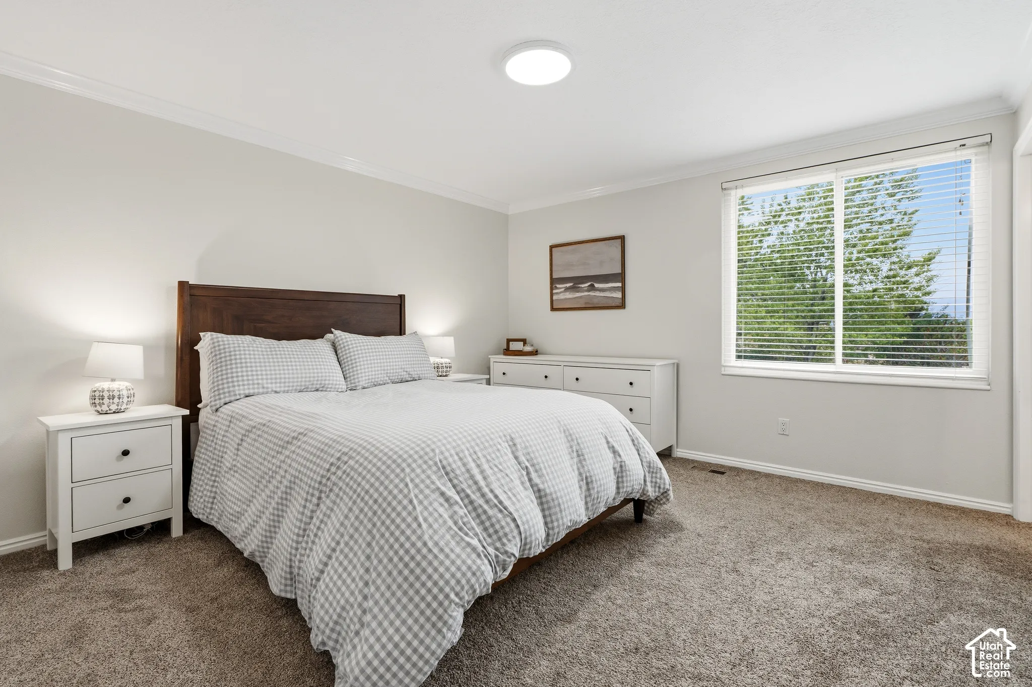 Bright bedroom featuring a large window with horizontal blinds, neutral wall paint, crown molding, and brown carpet flooring