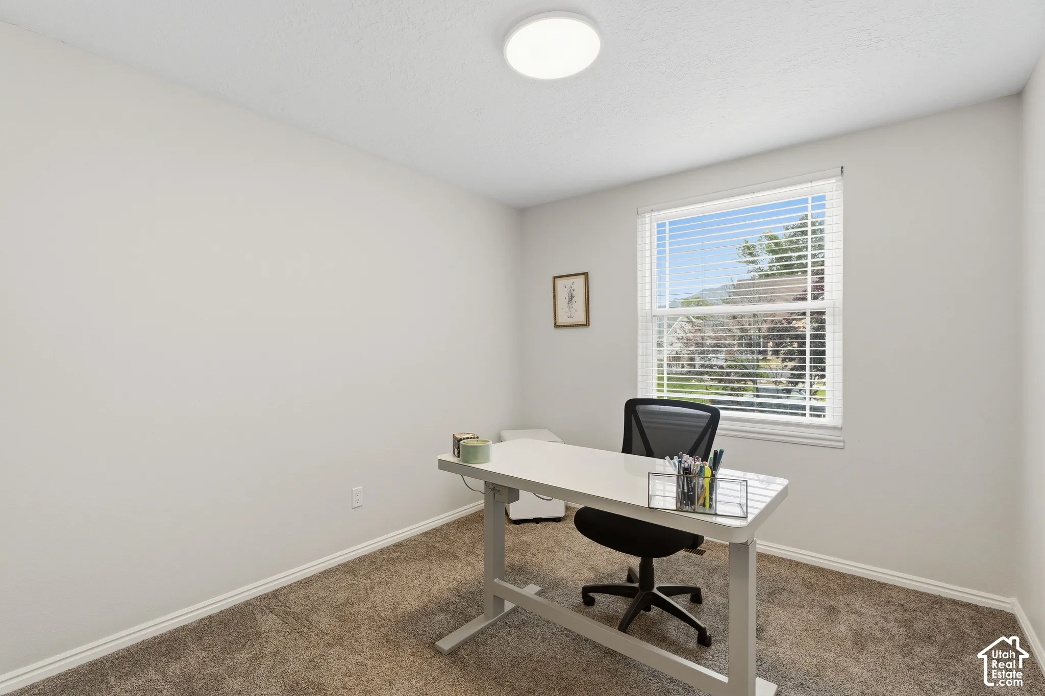 Bright room featuring a single window with blinds, neutral wall paint, and carpet flooring