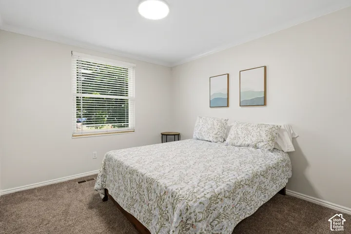 Carpeted bedroom featuring a large window with horizontal blinds, light-toned walls, crown molding, and a flush-mount ceiling light