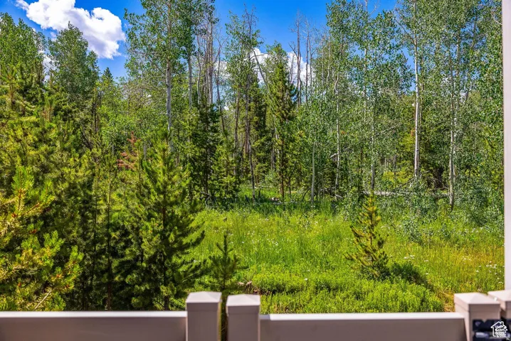 Expansive natural landscape featuring a variety of mature evergreen and deciduous trees, with a verdant undergrowth