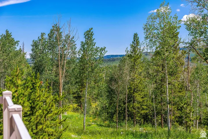 Lush natural landscape with varied mature trees including aspens and evergreens, complemented by a verdant undergrowth and distant elevated terrain
