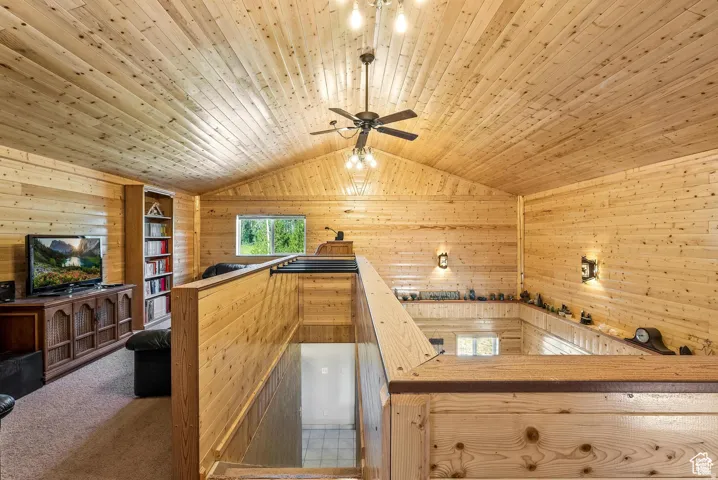 Vaulted wood-paneled ceiling with a central ceiling fan and light fixture