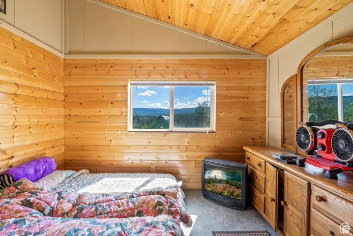 Sloped wood-finish ceiling, wood-paneled walls, carpeted flooring, built-in wooden dresser with storage, and a window offering a distant landscape
