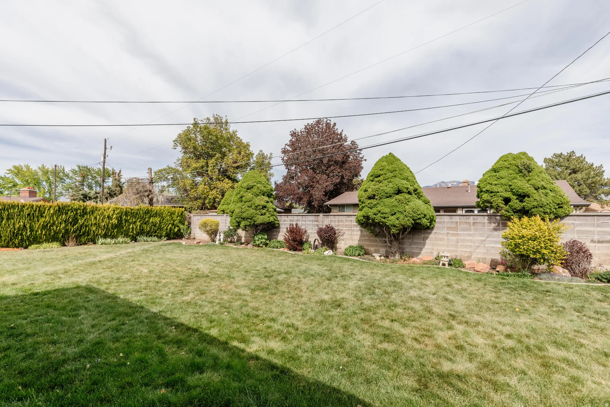Expansive grassy lawn with a gentle slope