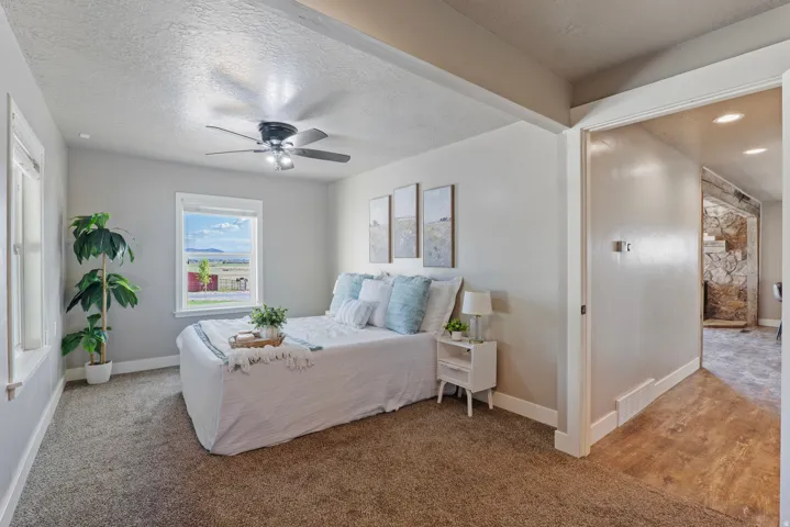 Carpeted room featuring a ceiling fan with integrated lighting, a window with exterior views, and a doorway opening to a wood-finish floor