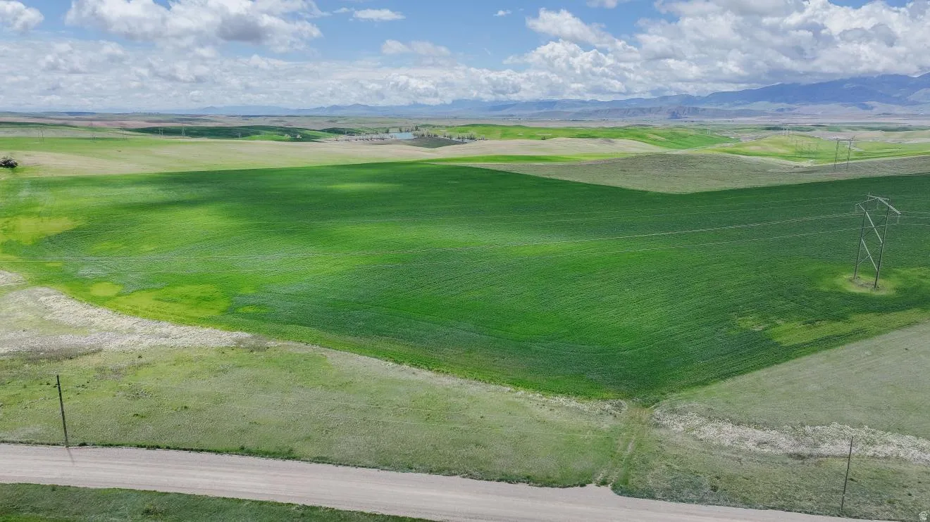 Expansive agricultural land featuring vibrant green crops and rolling hills