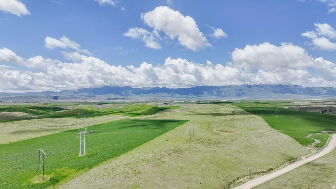 Expansive open land featuring verdant fields and a distant mountain range under a blue sky with scattered clouds