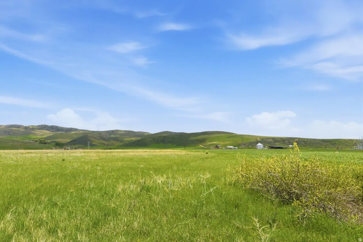 Expansive green field with rolling hills in the background under a clear blue sky