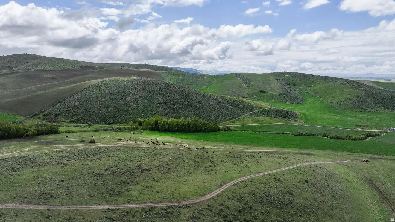 Rolling green hills and expansive terrain define this landscape