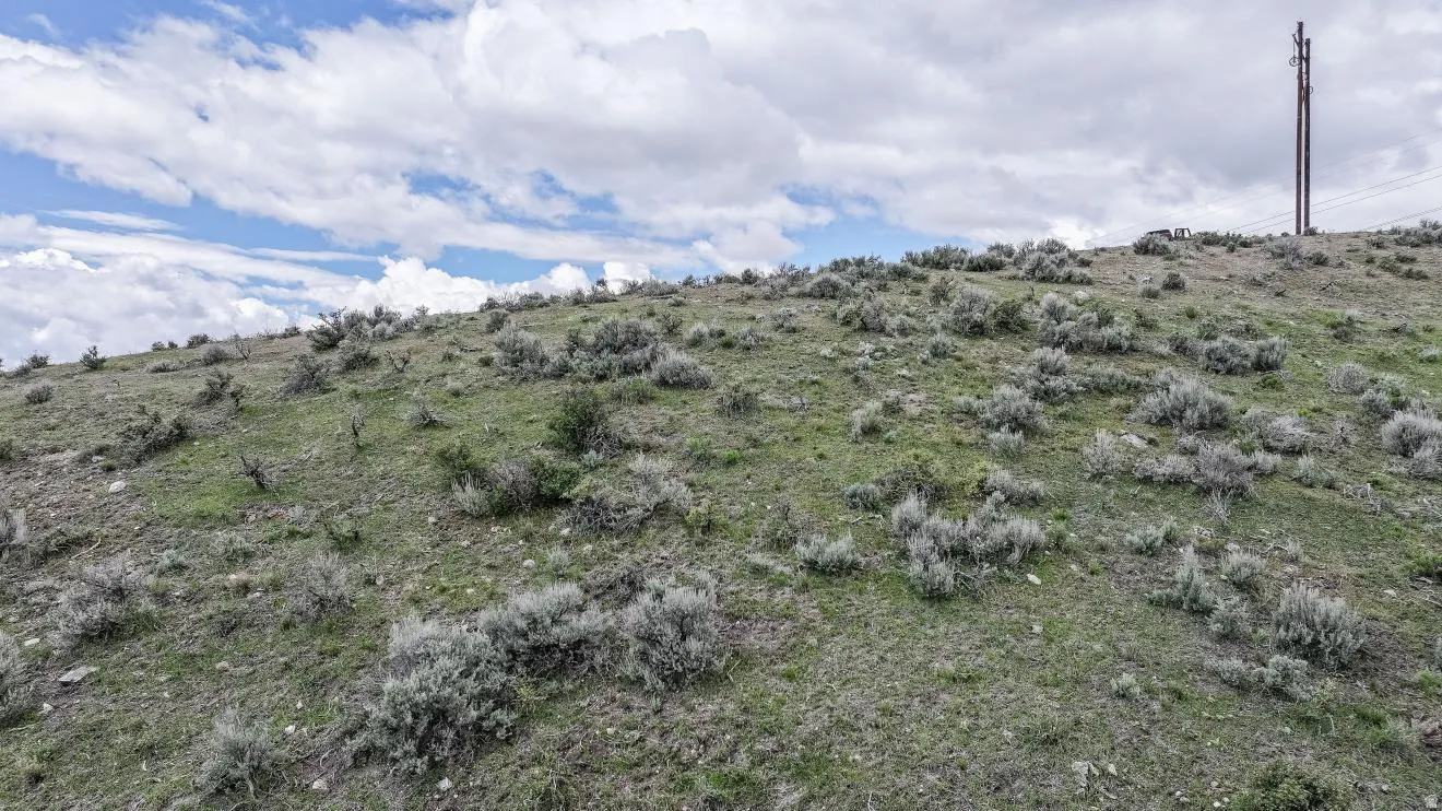 Elevated lot featuring natural terrain and established vegetation
