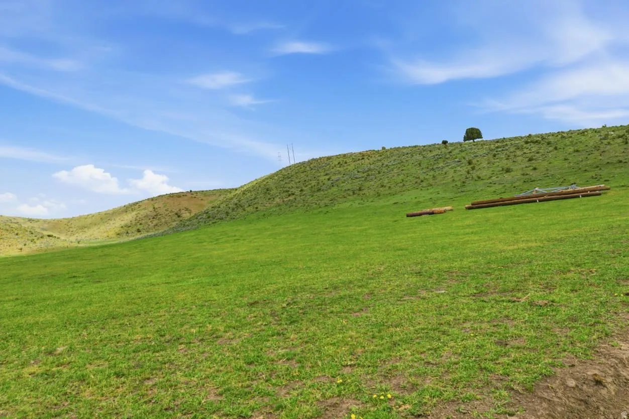 Expansive green hillside with a distant mature tree, offering open land and a clear sky on tax parcel rp0928.00