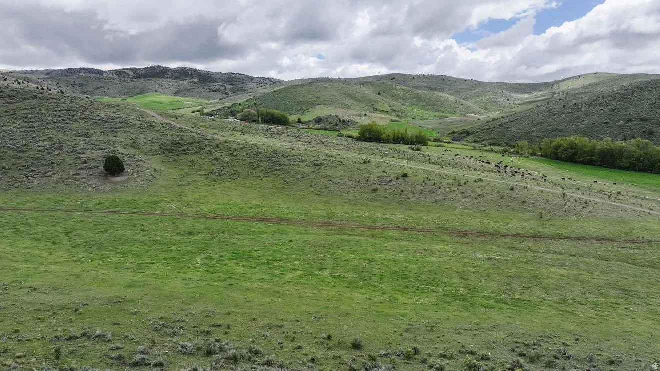 Expansive rolling hills featuring verdant grasslands and scattered trees
