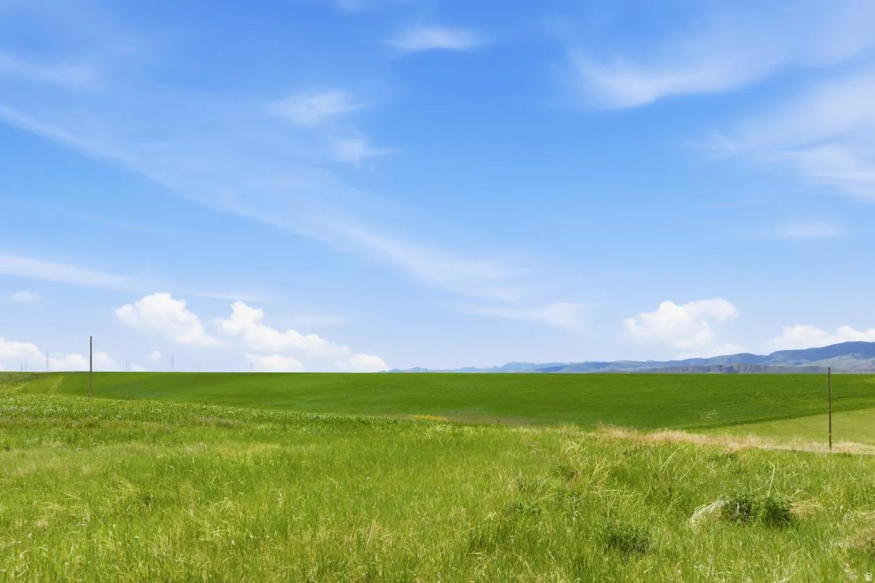 Expansive green landscape under a bright blue sky with scattered clouds