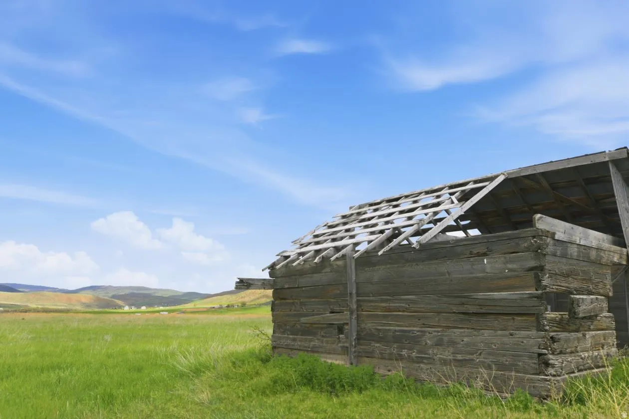 Rustic wood structure with exposed roof framing, set within an expansive green field