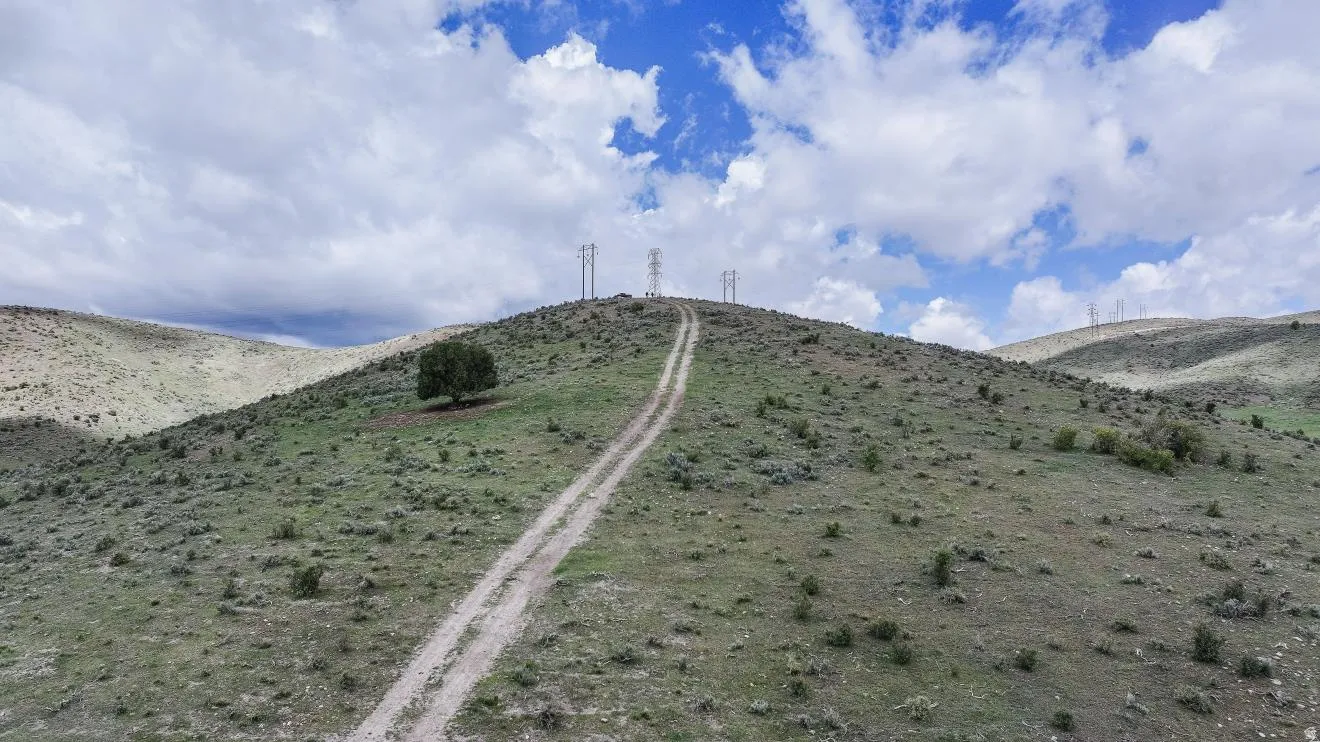 Undeveloped hillside land featuring a dirt road, scattered brush, and a solitary tree on tax parcel rp1227.00