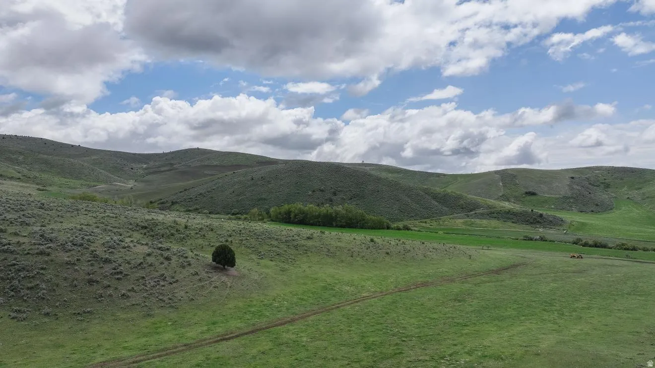 Expansive green hills with varying topography