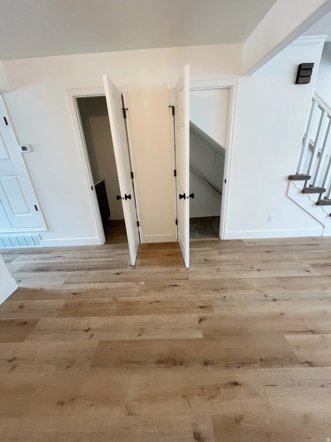 On the right is storage underneath the stairs. A half bath is on the left.