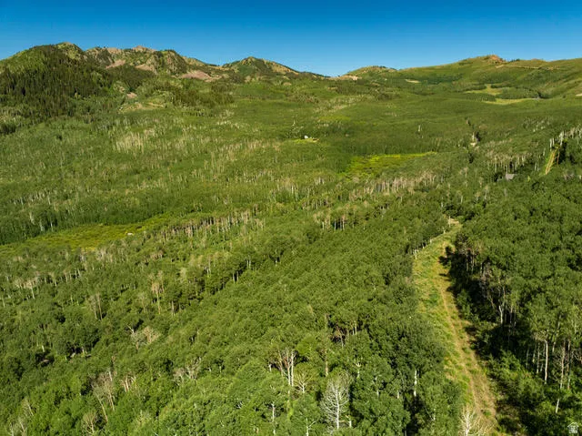 Expansive mountainous terrain featuring dense forests of deciduous trees and scattered evergreens