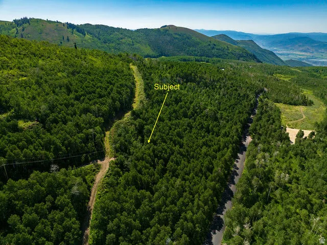 Expansive wooded parcel featuring dense tree coverage, a clear mountain backdrop, and partial road frontage