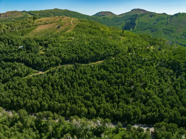 Expansive wooded terrain with rolling hills and a visible unpaved road