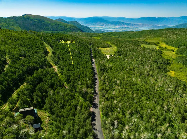 Expansive mountainous terrain featuring a dense forest canopy and a paved road