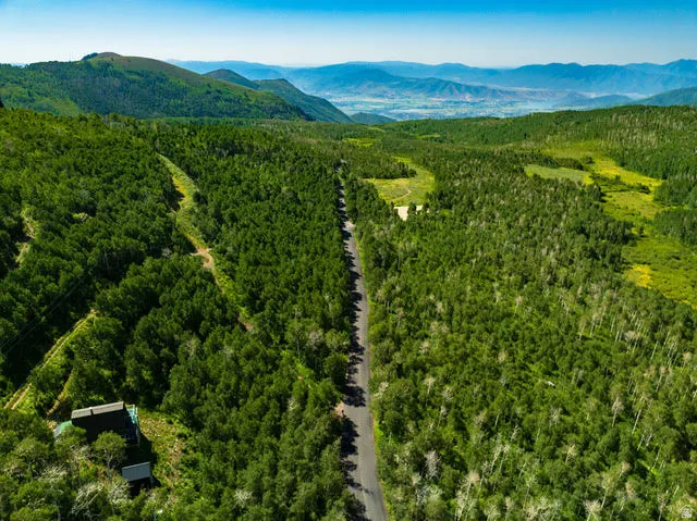 Extensive wooded acreage with a paved road traversing the property, featuring a distant mountain range and a small structure with a dark roof