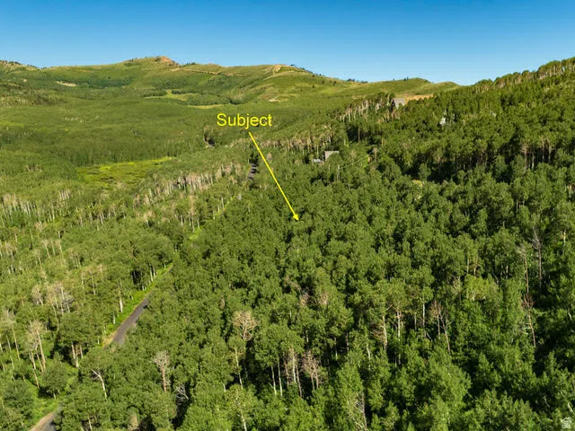 Expansive wooded lot featuring mature deciduous trees and varied terrain