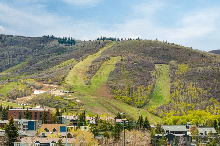 Mountainous landscape featuring multiple ski runs and verdant slopes