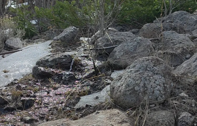 Water in an intermittent spring.