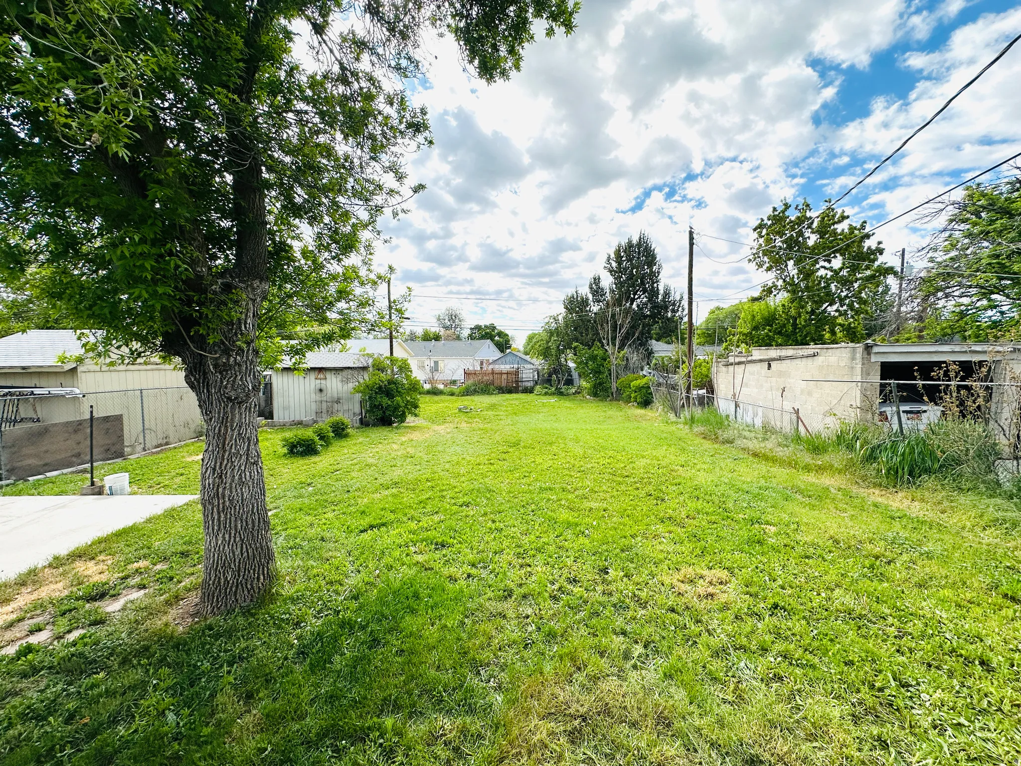 Expansive green space featuring a mature tree, concrete patio, and partial fencing