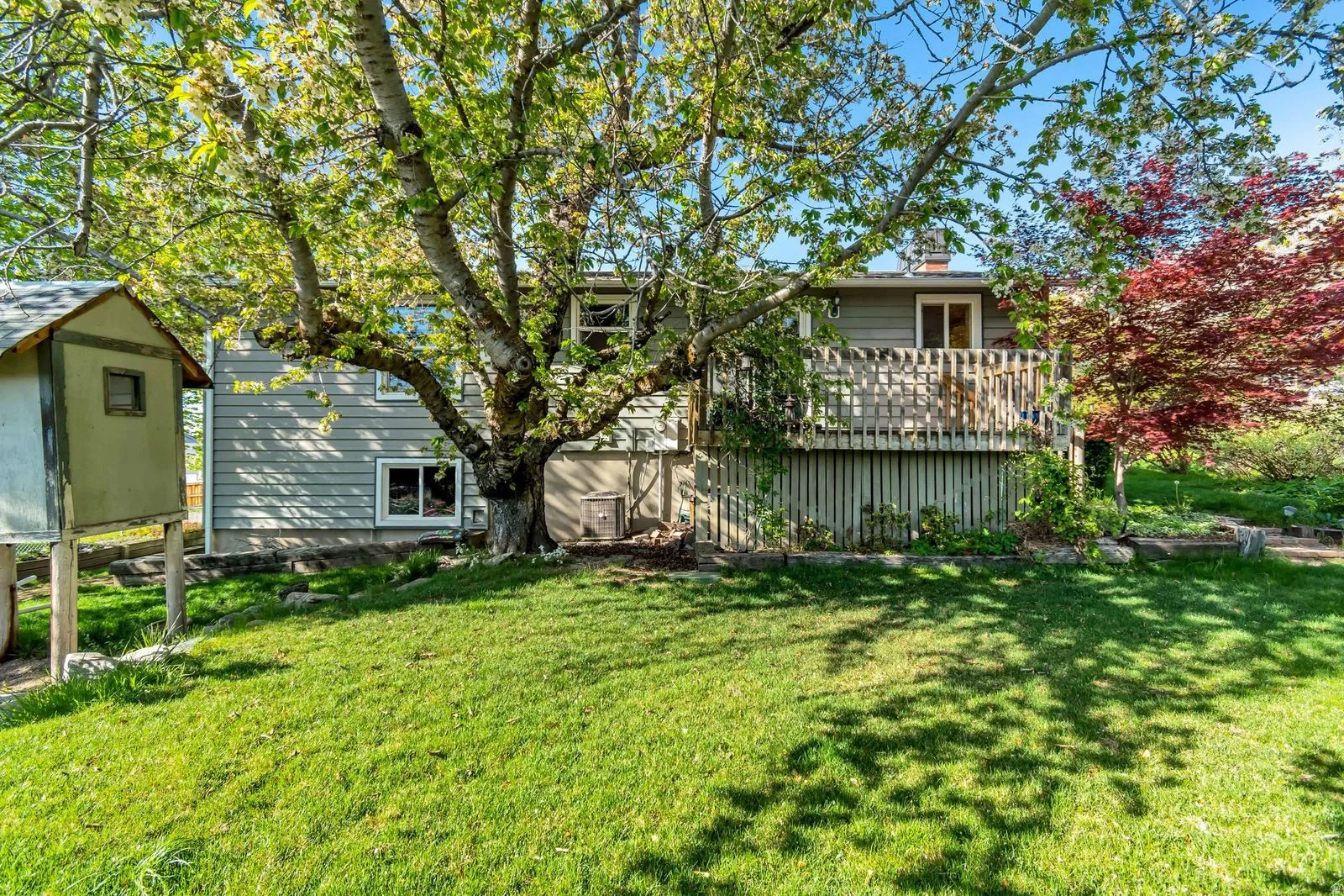 Expansive green lawn with mature trees and a multi-level deck