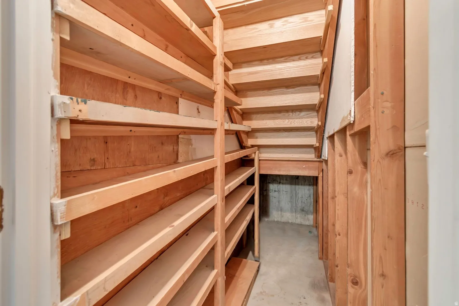 Under-stair storage area featuring extensive wood shelving, a concrete floor, and exposed wood framing