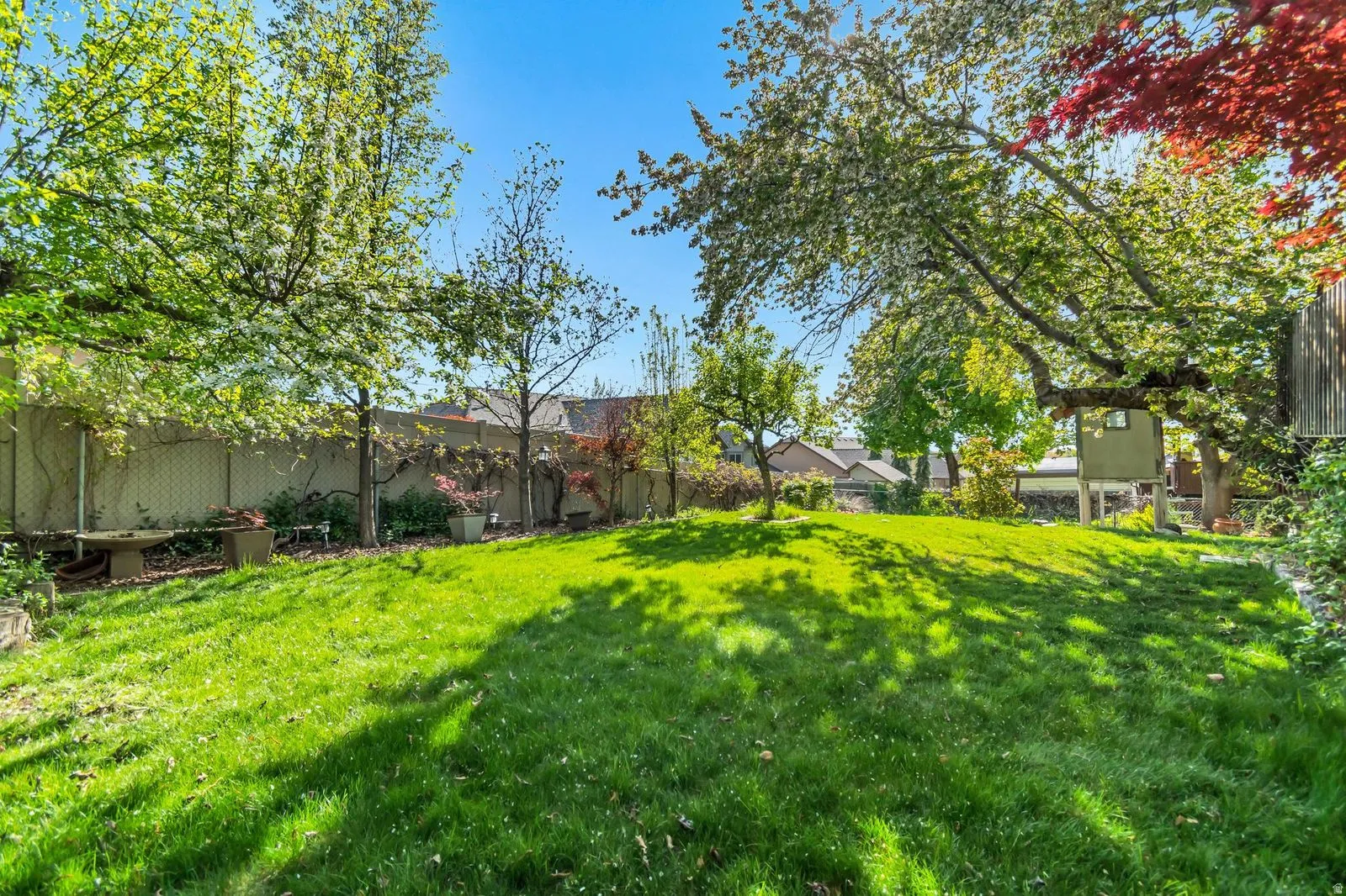 Expansive backyard with a manicured lawn, mature trees, and privacy fencing